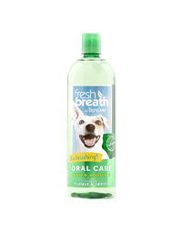 Dog Health Care