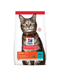 Dry Cat Food