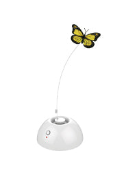 Electronic Toys