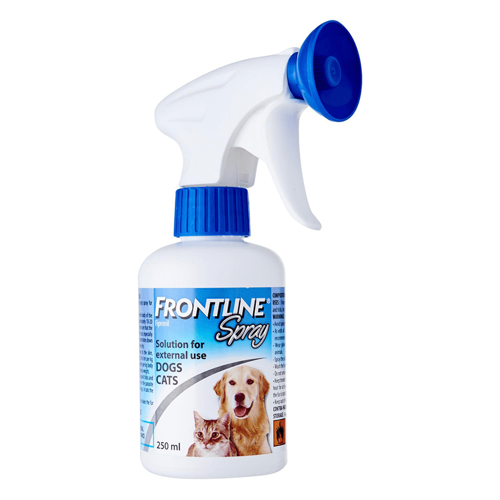 Cat Flea & Tick