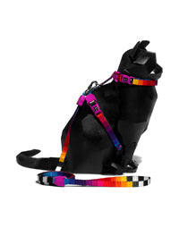Leashes & Harness