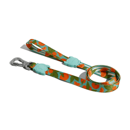 Load image into Gallery viewer, Zee.Dog Florida Leash