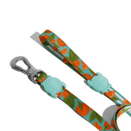 Load image into Gallery viewer, Zee.Dog Florida Leash