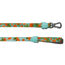 Load image into Gallery viewer, Zee.Dog Florida Leash