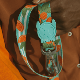 Load image into Gallery viewer, Zee.Dog Florida Leash
