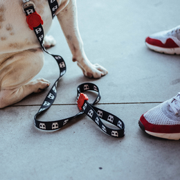 Load image into Gallery viewer, Zee.Dog Skull 2.0 Leash