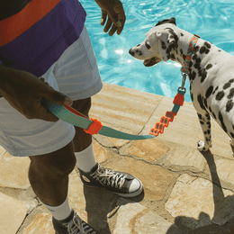 Load image into Gallery viewer, Zee.Dog Twist Ruff Leash