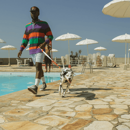 Load image into Gallery viewer, Zee.Dog Twist Ruff Leash