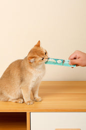 Load image into Gallery viewer, M-PETS Creamy Treats for Cats - Salmon &amp; Beef 4x15g (60g)
