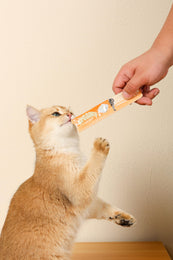 Load image into Gallery viewer, M-PETS Creamy Treats for Cats - Crab 4x15g (60g)
