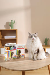 Load image into Gallery viewer, M-PETS Creamy Treats for Cats Multipack 40 + 8 Gratis (Chicken x12, Tuna x12, Salmon &amp; Beef x12, Tuna &amp; Scallop x12) - 48x15g (720g)
