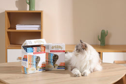 Load image into Gallery viewer, M-PETS Creamy Treats for Cats Multipack 40 + 8 Gratis (Crab x12, Salmon x12, Cod &amp; Beef x12, Tuna &amp; Shrimp x12) - 48x15g (720g)

