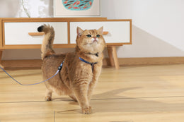 Load image into Gallery viewer, M-PETS Gentle Cat Harness &amp; Leash Set Azure Blue
