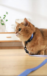 Load image into Gallery viewer, M-PETS Gentle Cat Collar Azure Blue

