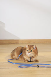 Load image into Gallery viewer, M-PETS Gentle Cat Collar Azure Blue
