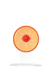 Load image into Gallery viewer, M-PETS Turbo Small Animal Training Wheel Red
