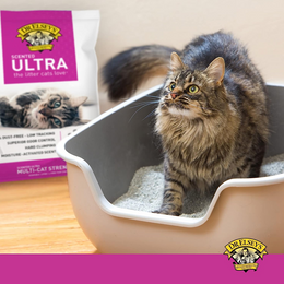 Load image into Gallery viewer, Dr.Elsey&#39;s Precious Cat Ultra Hard Clumping Scented 99% Dust Free cat litter
