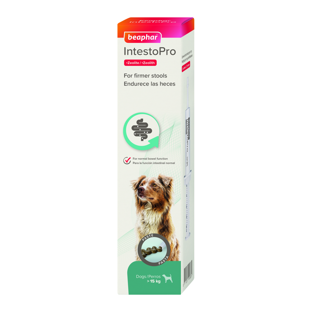 Beaphar IntestoPro Anti Diarrhea Paste Syringe Large Dog