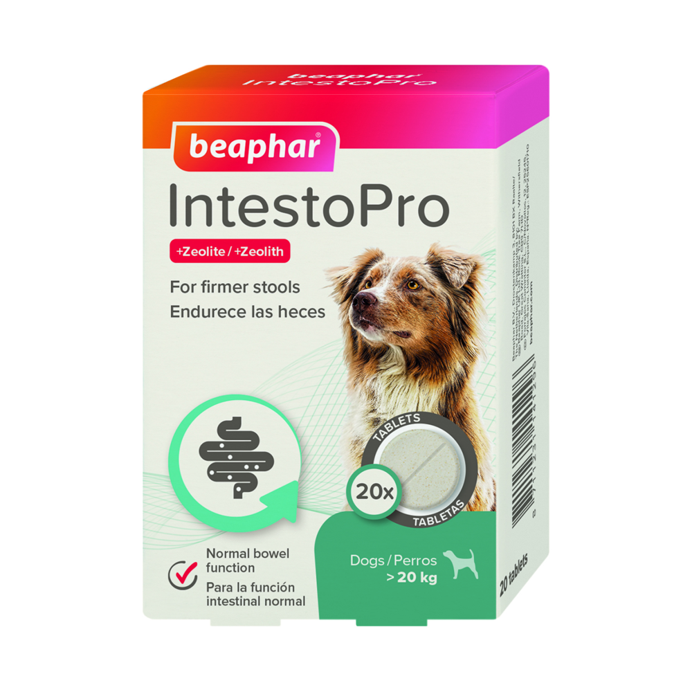 Beaphar IntestoPro Anti Diarrhea Tablet Large Dog