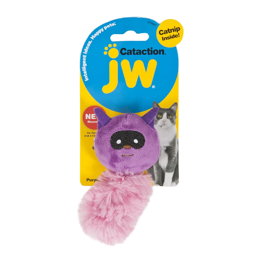 JW Purple Raccoon Catnip Inside Cat Toy