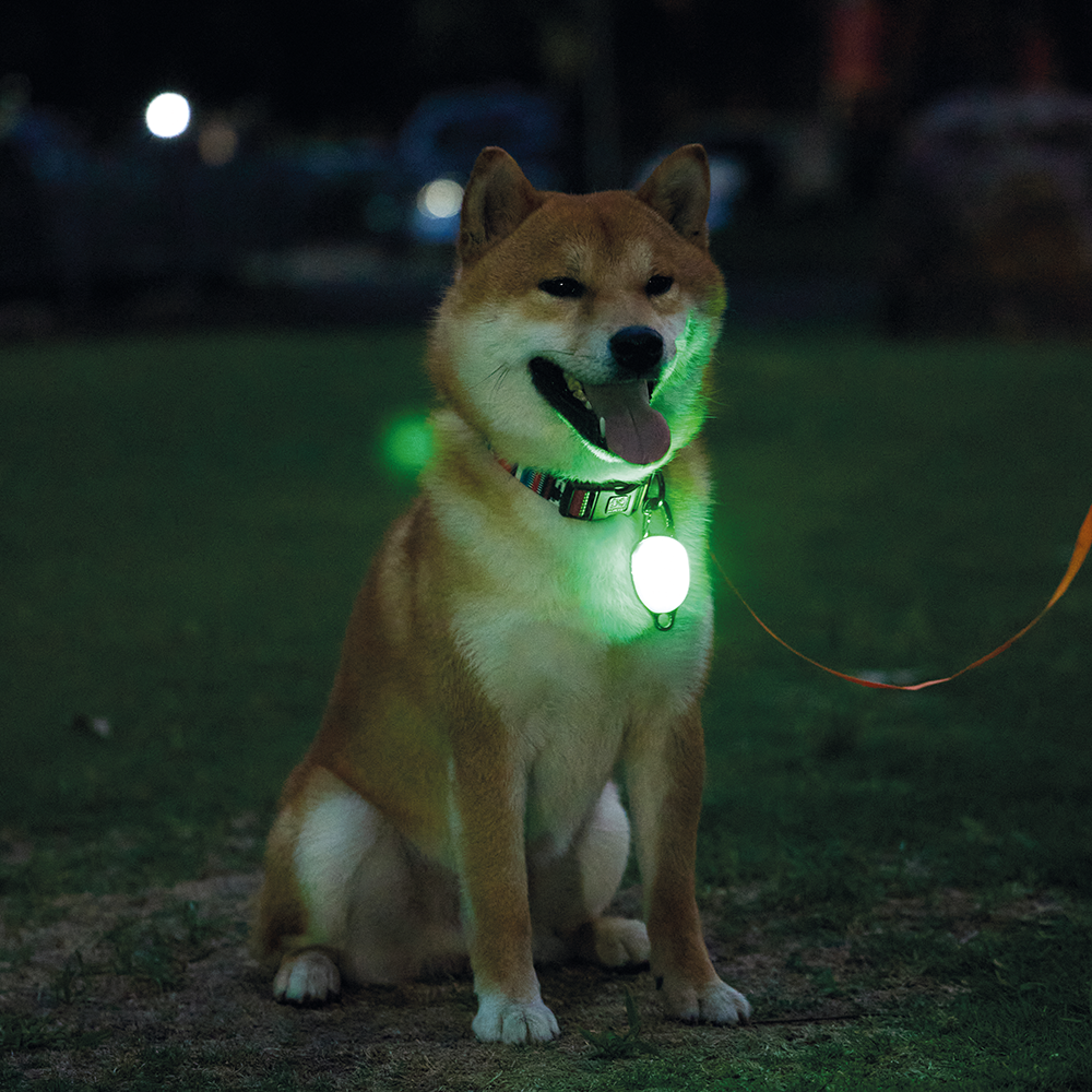 M-PETS Rechargeable LED JEWEL For Dogs