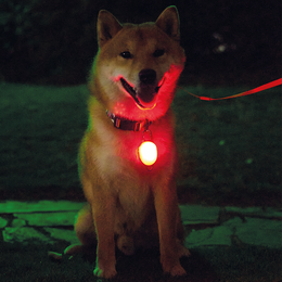 Load image into Gallery viewer, M-PETS Rechargeable LED JEWEL For Dogs
