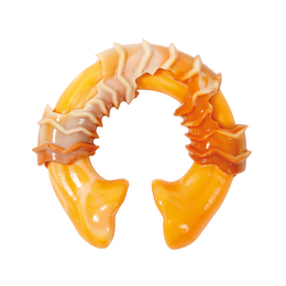 Load image into Gallery viewer, M-PETS Carnivore Ring Bone Dog Toy
