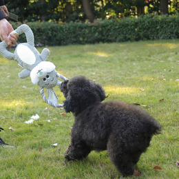 Load image into Gallery viewer, M-PETS Chewtopia Rabbit Dog Toy
