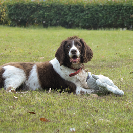 Load image into Gallery viewer, M-PETS Chewtopia Pig Dog Toy
