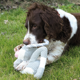 Load image into Gallery viewer, M-PETS Chewtopia Pig Dog Toy
