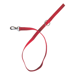 Load image into Gallery viewer, M-PETS Sportline Dog Leash Red
