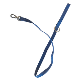 Load image into Gallery viewer, M-PETS Sportline Dog Leash Blue
