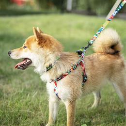 Load image into Gallery viewer, M-PETS Freestyle Leash
