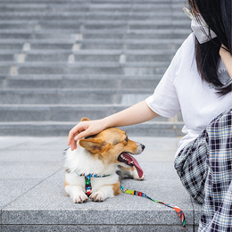 Load image into Gallery viewer, M-PETS Freestyle Leash
