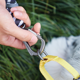 Load image into Gallery viewer, M-PETS Wild Safari Collar
