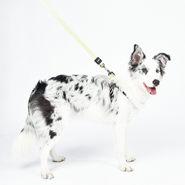 Load image into Gallery viewer, M-PETS Wild Safari Harness
