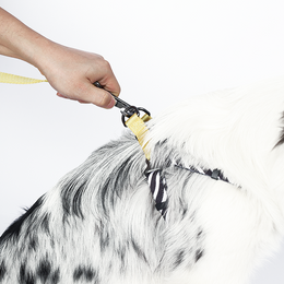Load image into Gallery viewer, M-PETS Wild Safari Harness
