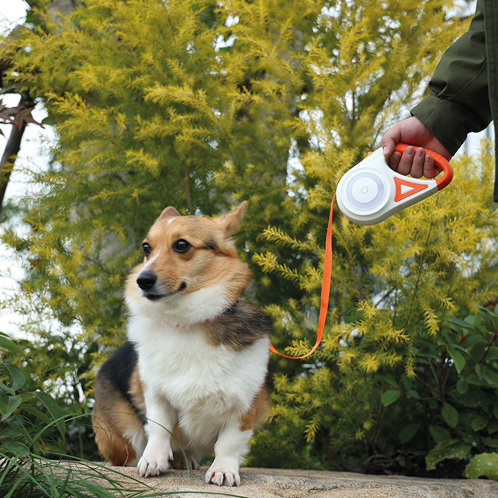 M-PETS Flash Retractable Leash White & Orange