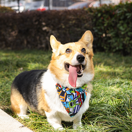 Load image into Gallery viewer, M-PETS Freestyle Bandana Collar
