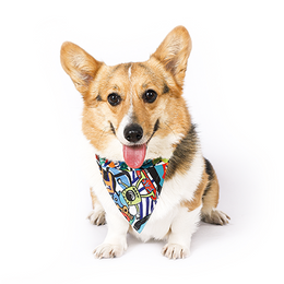 Load image into Gallery viewer, M-PETS Freestyle Bandana Collar
