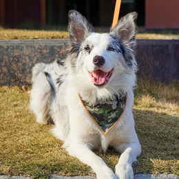 Load image into Gallery viewer, M-PETS Wild Jungle Bandana Collar
