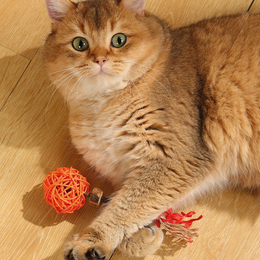 Load image into Gallery viewer, M-PETS Charmy Amulet Matatabi Orange Catnip Cat Toy
