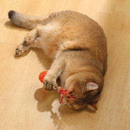 Load image into Gallery viewer, M-PETS Charmy Amulet Matatabi Orange Catnip Cat Toy
