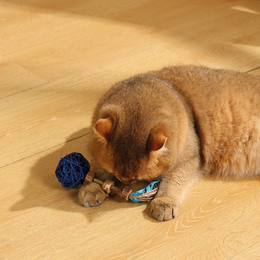 Load image into Gallery viewer, M-PETS Charmy Amulet Matatabi Blue Catnip Cat Toy
