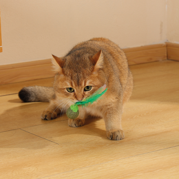 Load image into Gallery viewer, M-PETS Charmy Firefly Green Catnip Cat Toy
