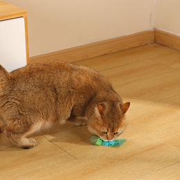 Load image into Gallery viewer, M-PETS Charmy Firefly Green Catnip Cat Toy
