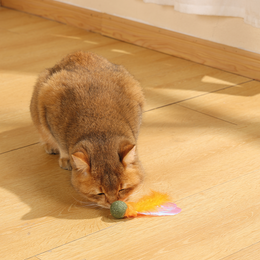 Load image into Gallery viewer, M-PETS Charmy Firefly Orange Catnip Cat Toy
