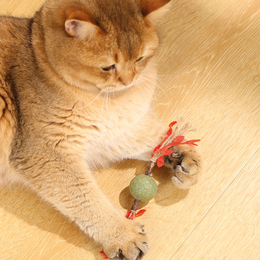 Load image into Gallery viewer, M-PETS Charmy Branch Red Catnip Cat Toy
