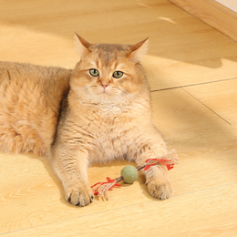 Load image into Gallery viewer, M-PETS Charmy Branch Red Catnip Cat Toy
