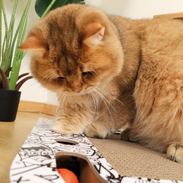 Load image into Gallery viewer, M-PETS Freestyle Cat Scratcher Black &amp; White
